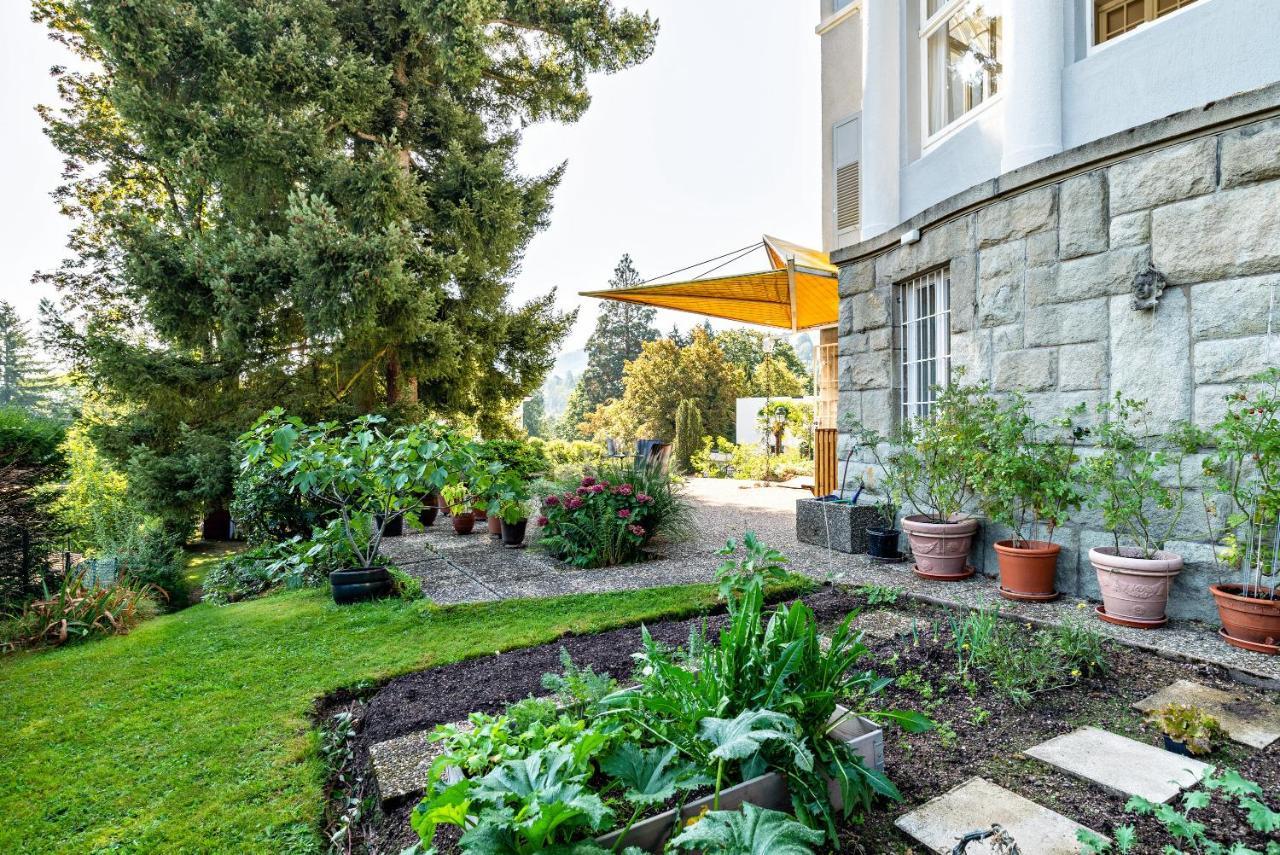 Merkurblick Baden-Baden Dış mekan fotoğraf